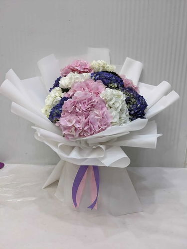 Pastel Hydrangea Medley